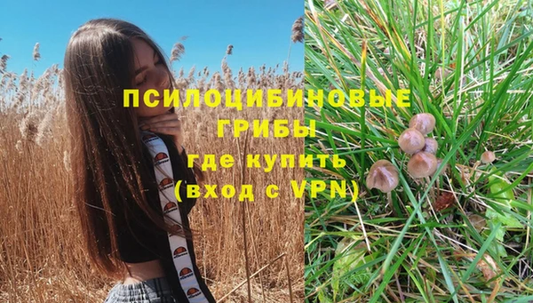 прущий лед Бородино
