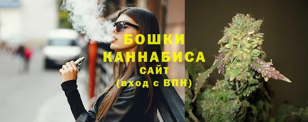прущий лед Бородино