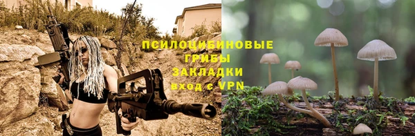 тгк Бронницы