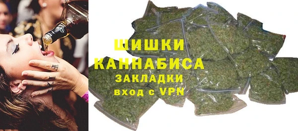 прущий лед Бородино